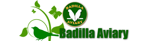 Badialla Aviary